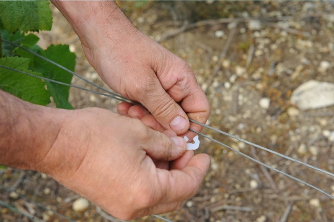 Champagne Jean-Marc VATEL - 